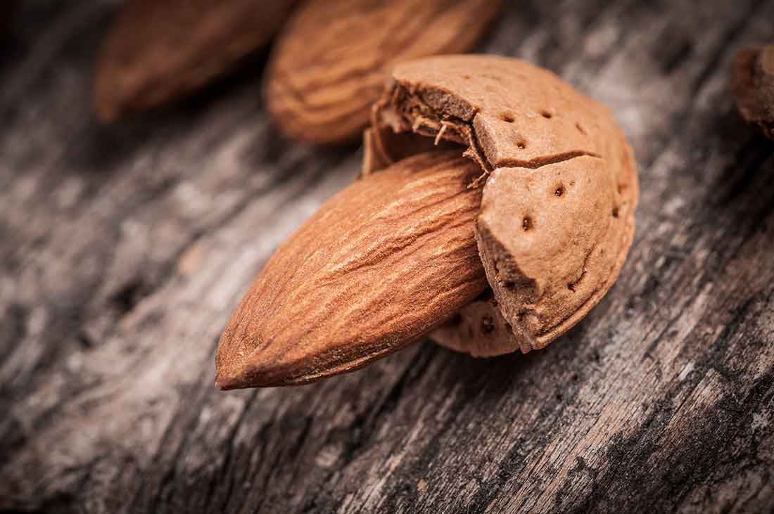 fresh mixed nuts montreal roi des noix